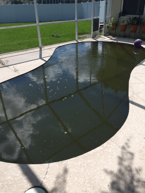 An Example of Abandoned and Neglected Pool (Another View) — Bradenton, FL — Doug's Pool Service