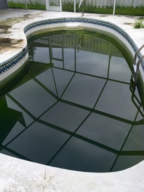 Clean Swimming Pool 4 — Bradenton, FL — Doug's Pool Service