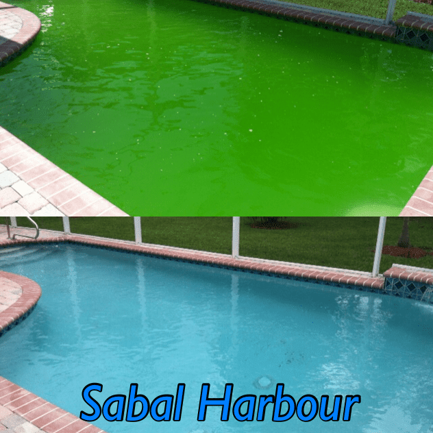 Before and After Swimming Pool Sabal Harbour  — Bradenton, FL — Doug's Pool Service
