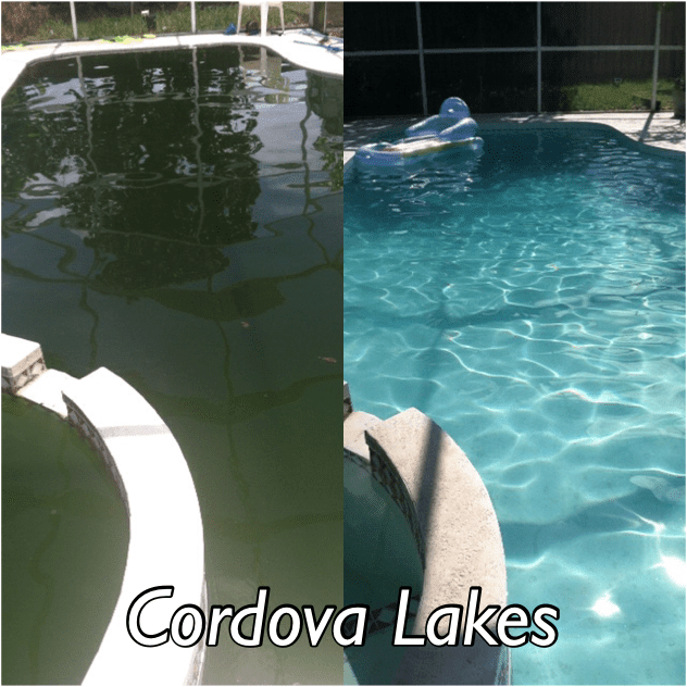 Before and After Swimming Pool Cordova Lakes  — Bradenton, FL — Doug's Pool Service
