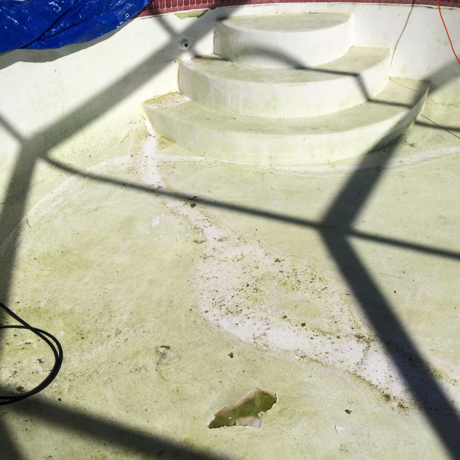 Dirty Swimming Pool 3 — Bradenton, FL — Doug's Pool Service