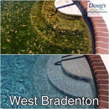 Before and After Pool Cleaning — Bradenton, FL — Doug's Pool Service