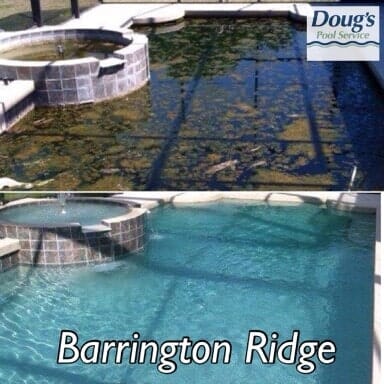 Dirty Swimming Pool — Bradenton, FL — Doug's Pool Service
