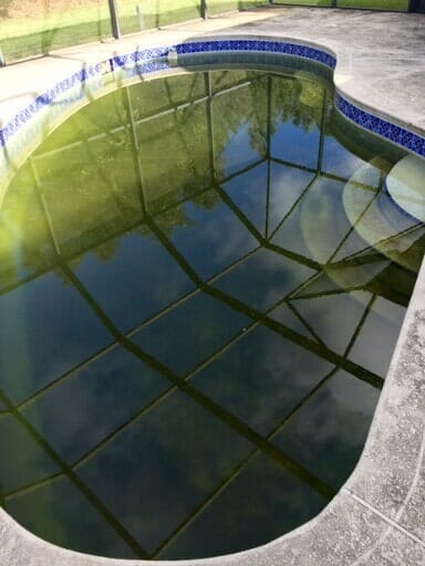 Dirty Swimming Pool — Bradenton, FL — Doug's Pool Service