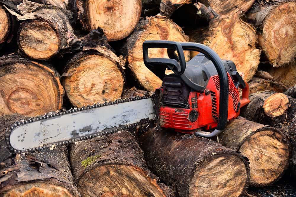 A Chainsaw is Sitting on Top of a Pile of Logs — Grind It Stump Grinding & Tree Removal in Falls Creek, NSW