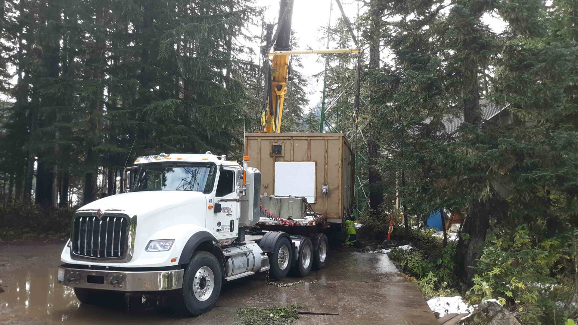 Vertical Lift Truck Removing Tree — Wenatchee, WA — Columbia Cranes
