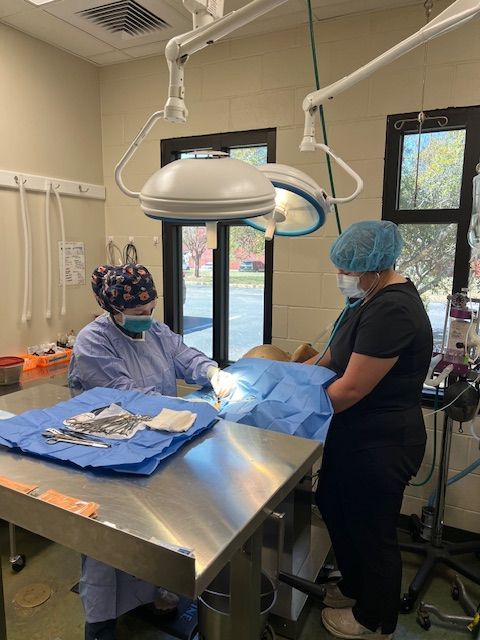 A surgical procedure