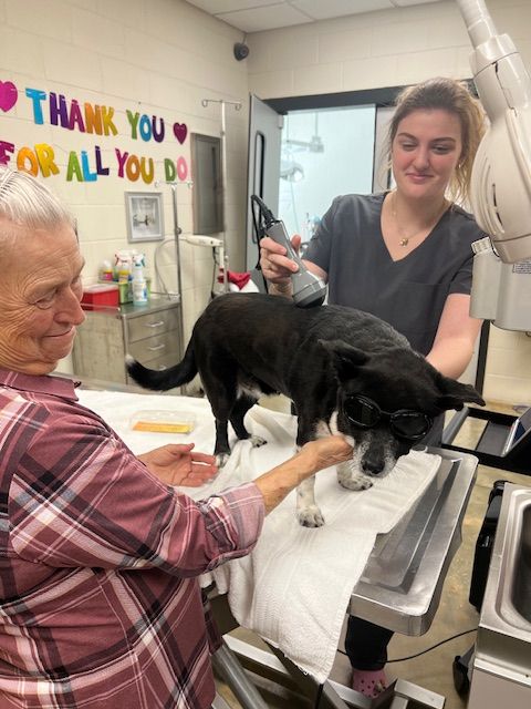 A laser therapy session