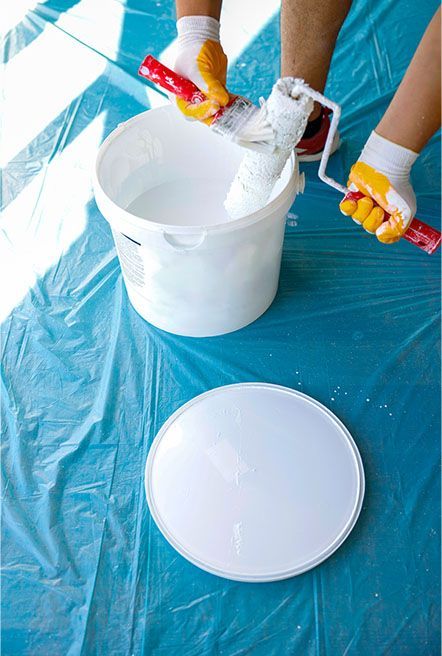 PINTORES Y ROTULISTAS DEL NORTE