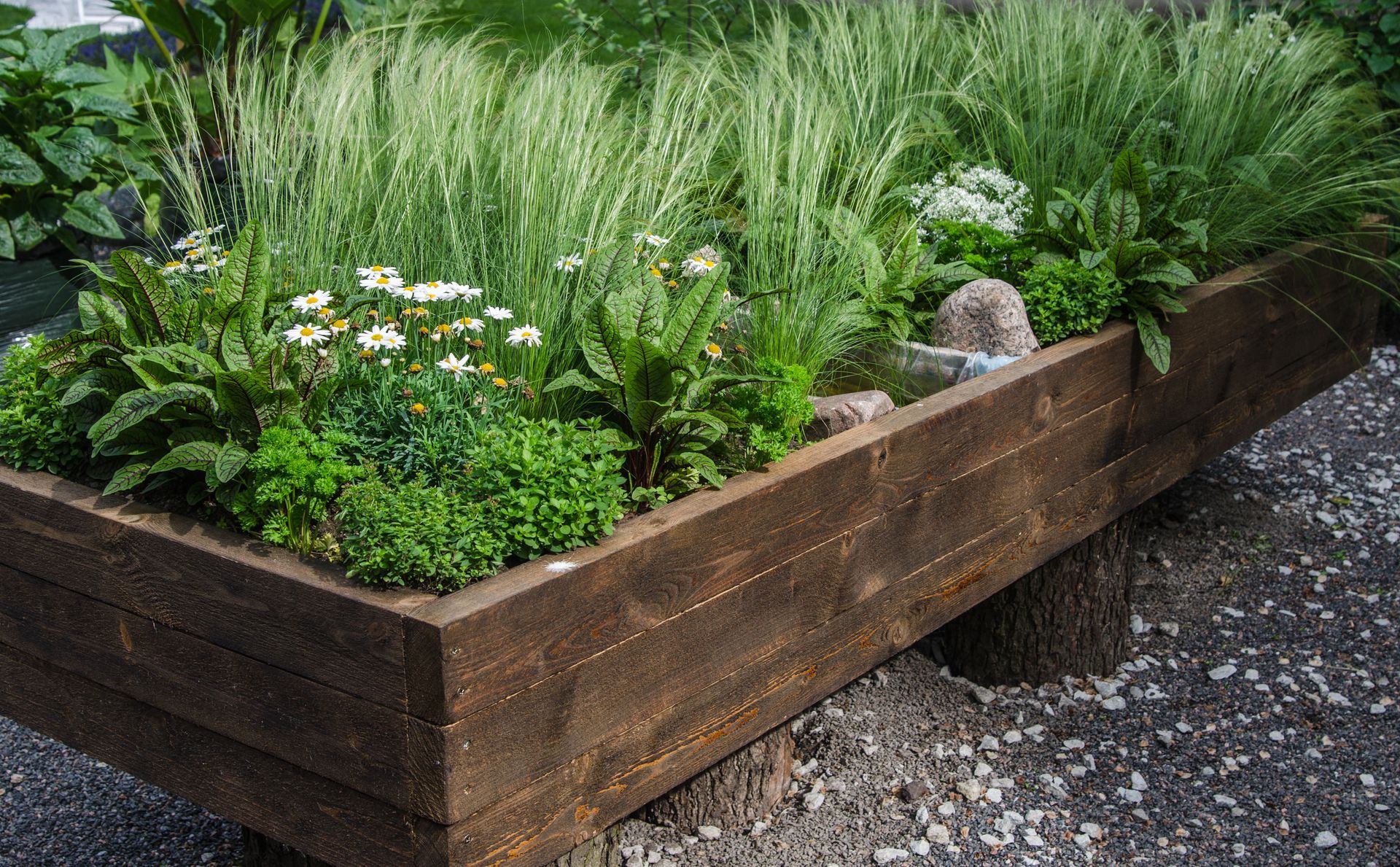 Wooden raised garden bed filled with various green plants and flowers.