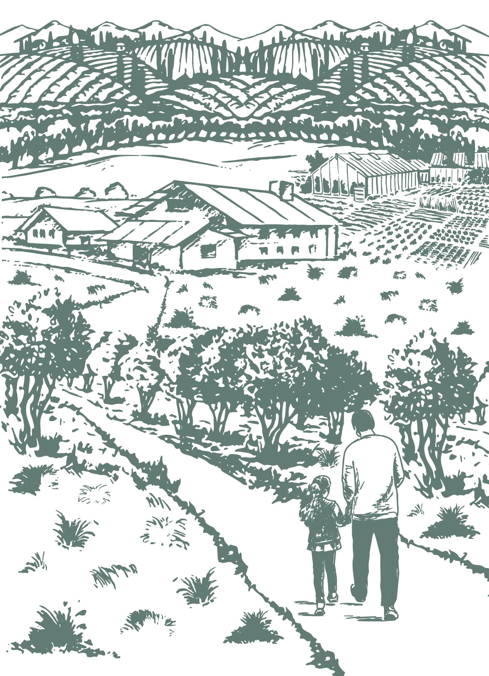 Coastal sage illustration