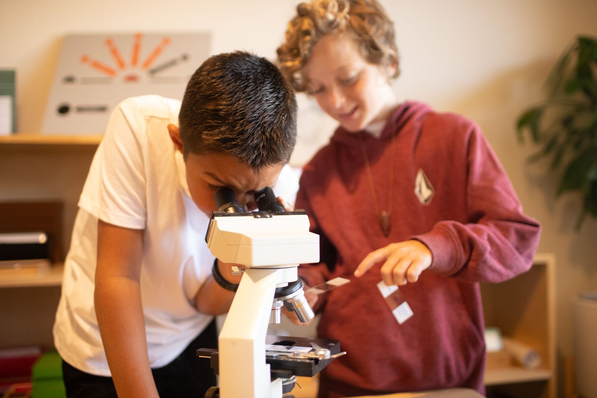 Middle School Progam