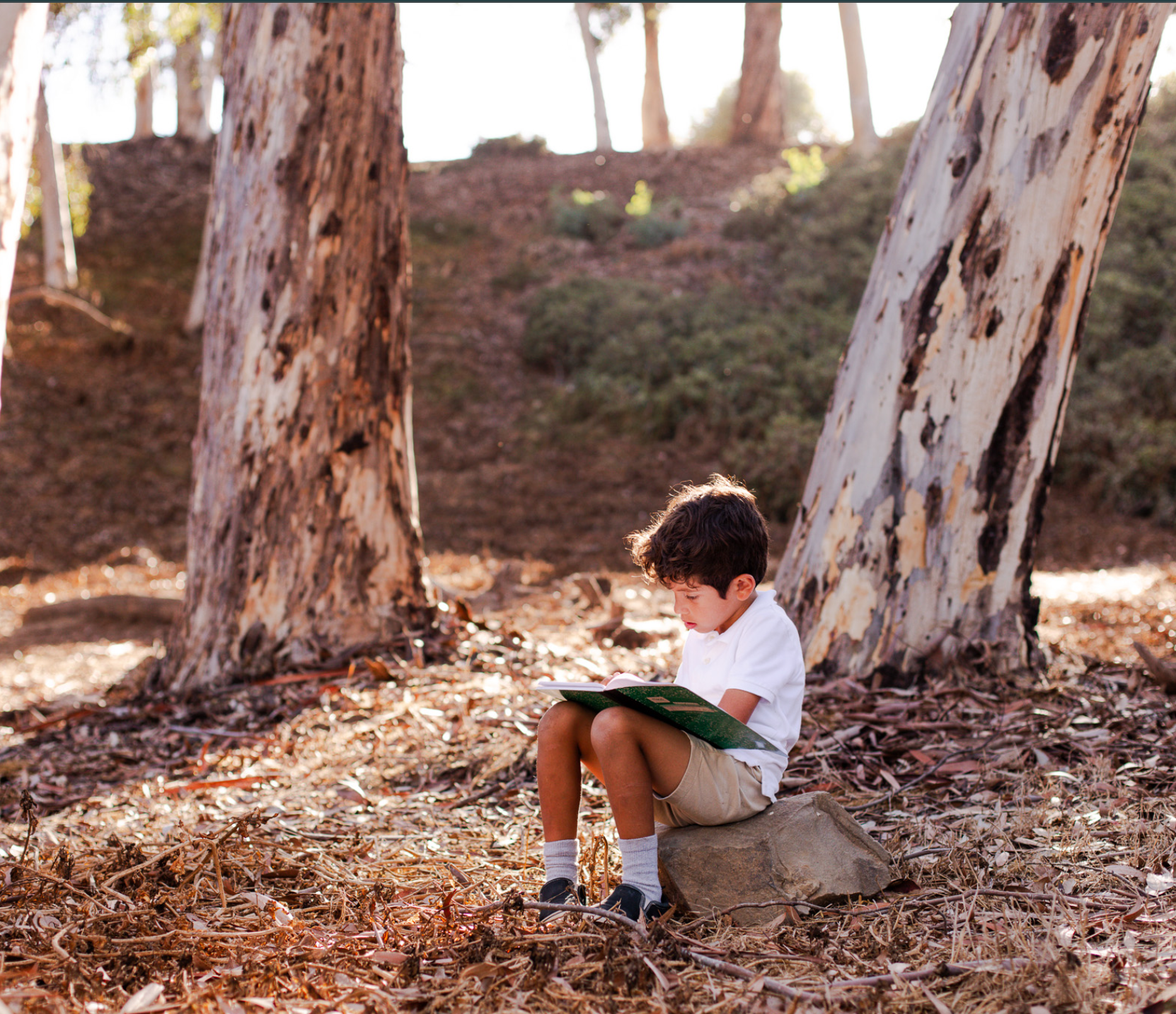 Montessori child working outdoors