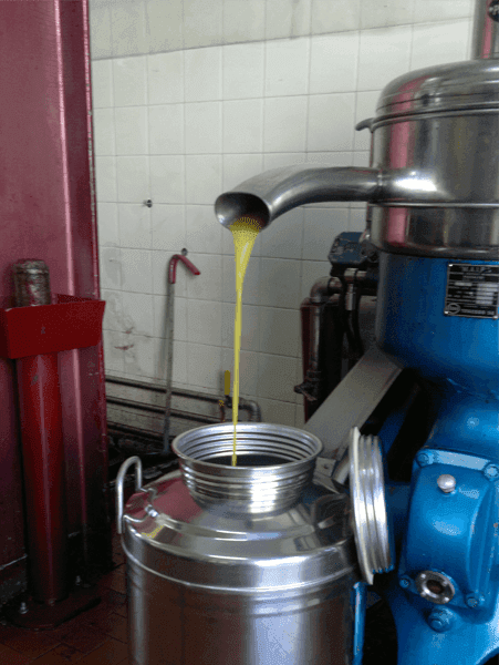 macchinari per l'estrazione dell'olio