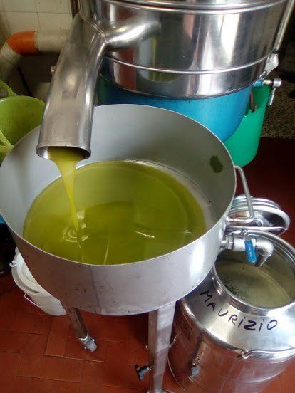 olio extravergine di qualità