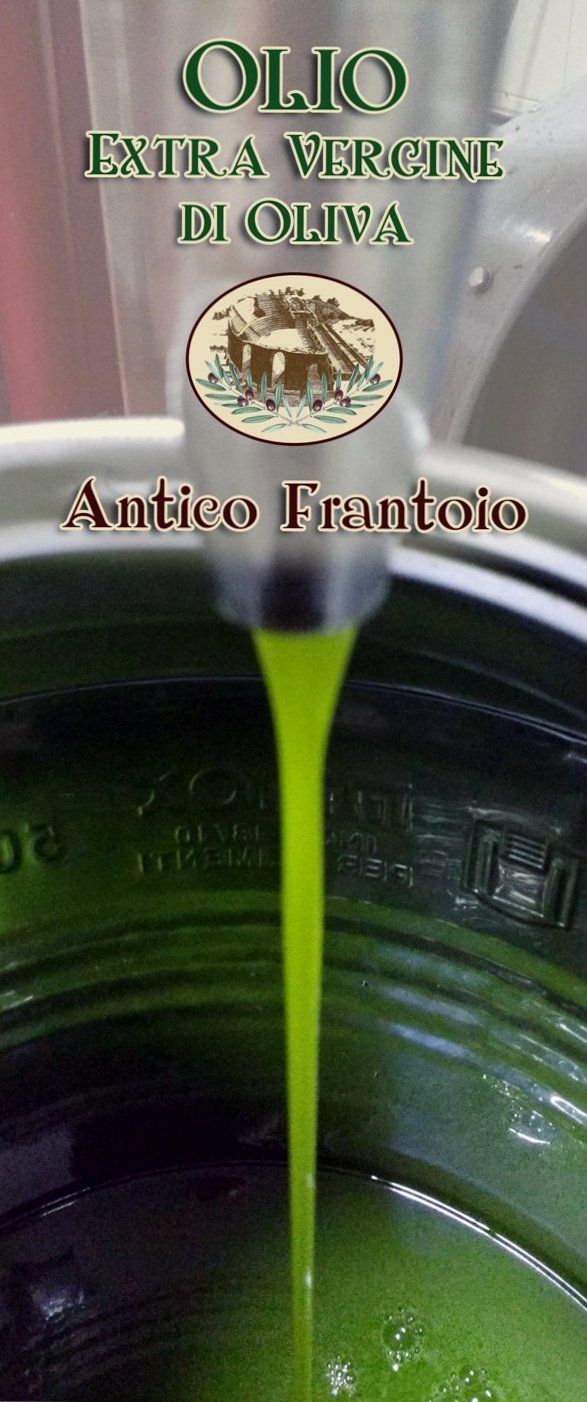 produzione olio extravergine di oliva