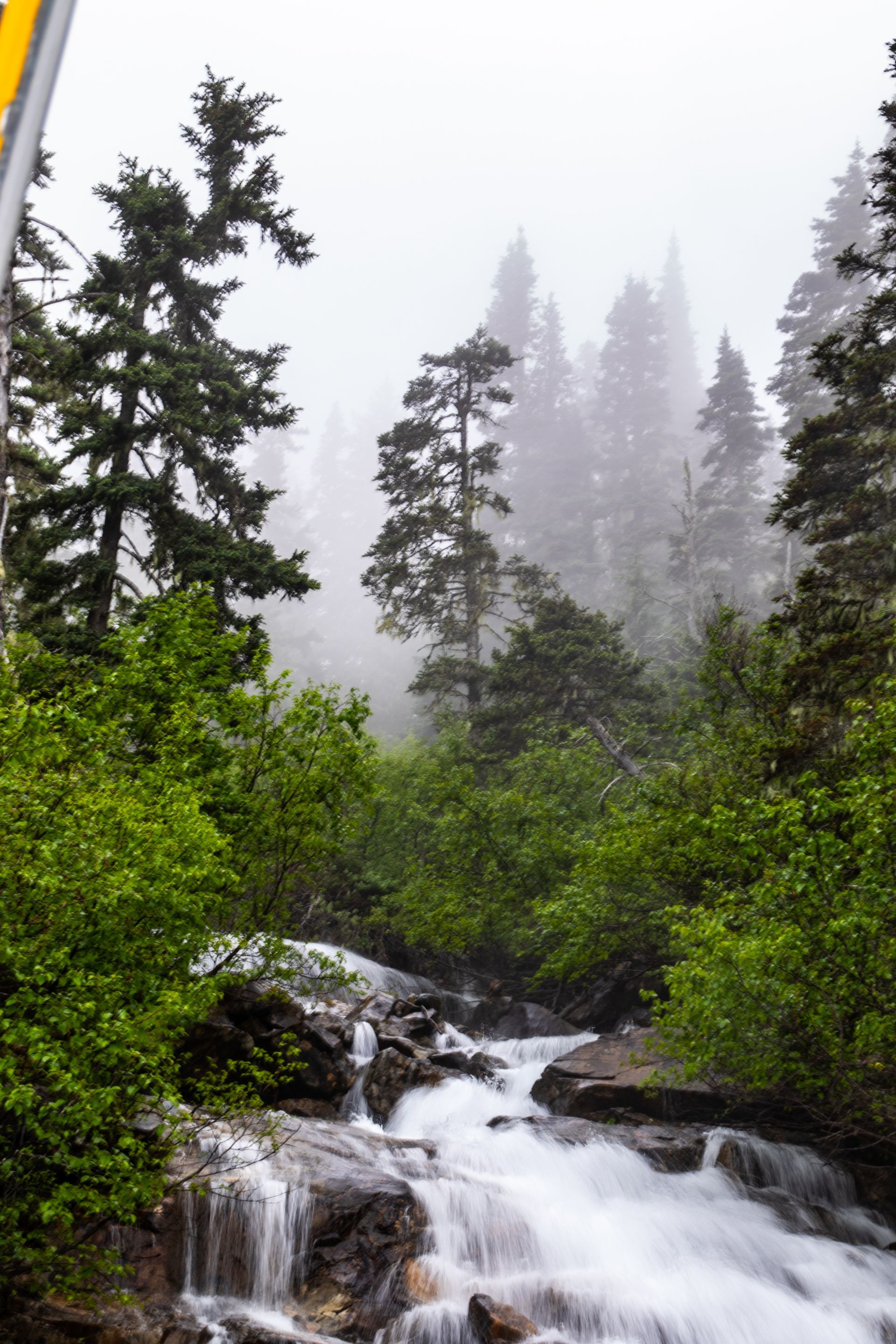 Rushing waterfall through rocks, surrounded by green foliage and tall evergreen trees, foggy background.