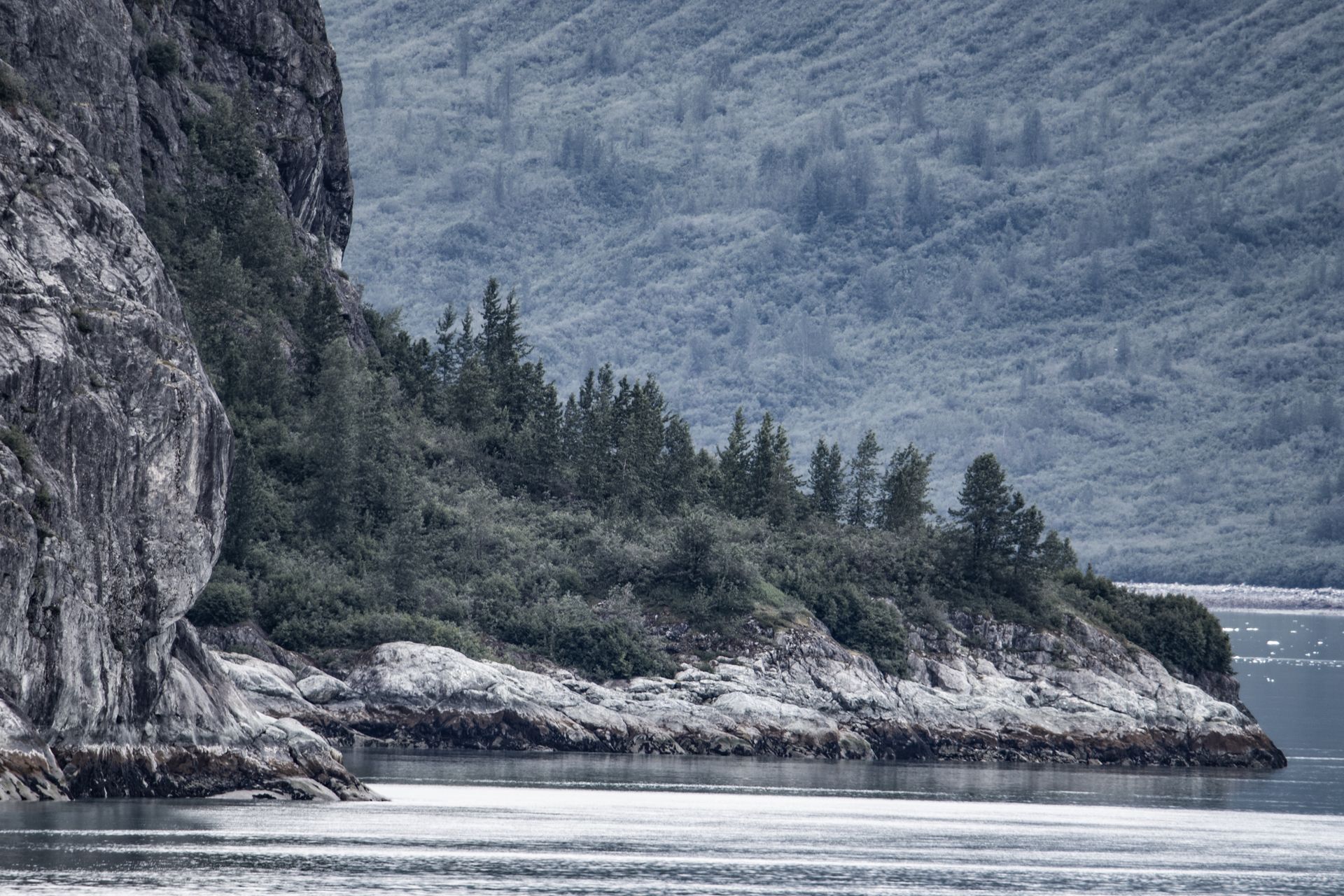 Rocky coastline with dark trees on a small slope, in front of a hazy mountain backdrop over water.