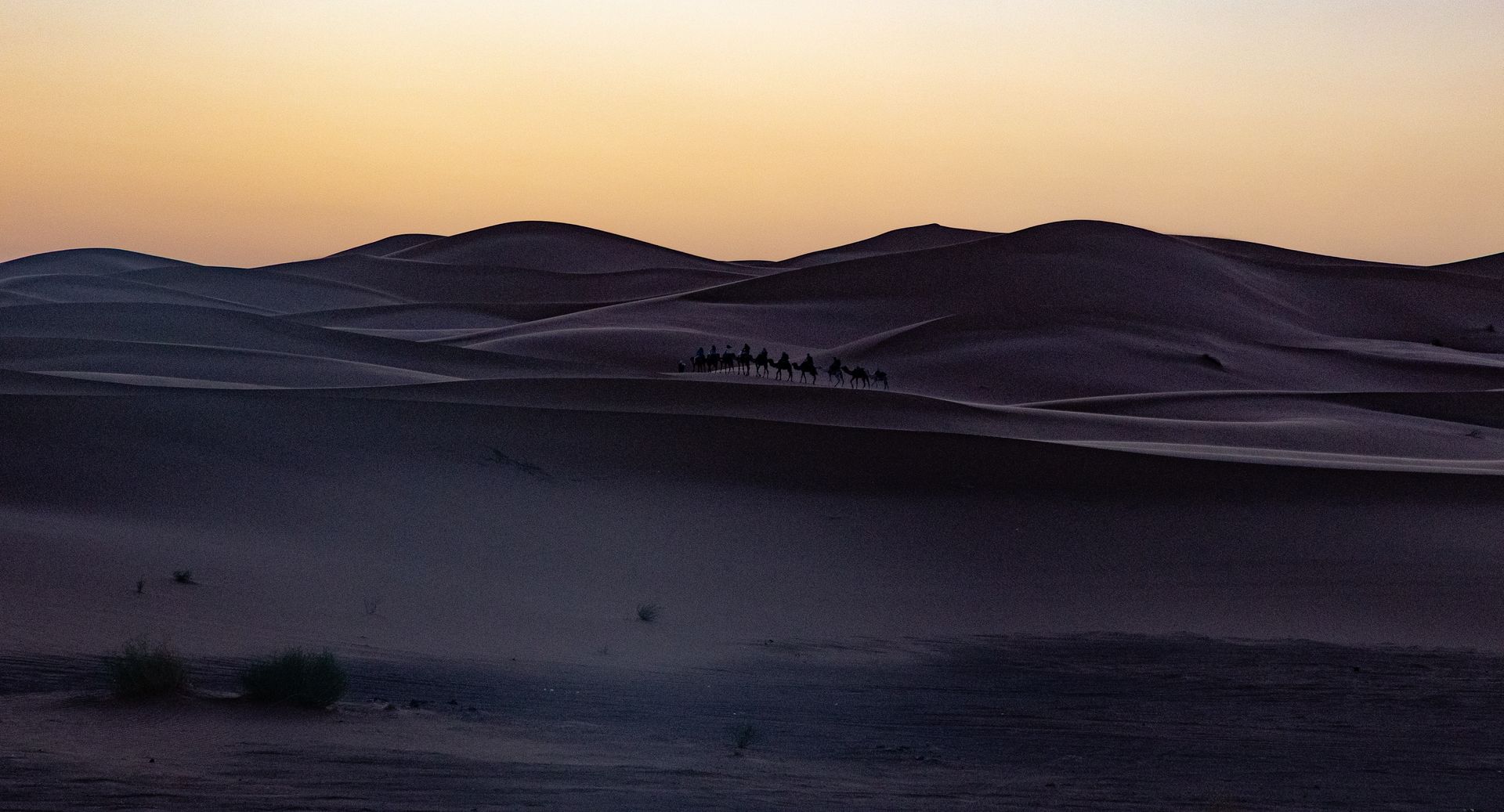 Desert dunes at dusk with a line of figures traversing the landscape; warm, dusky hues.