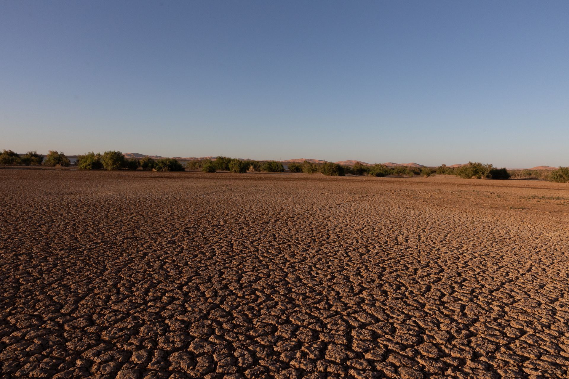Cracked, dry earth landscape with a line of trees against a clear blue sky.
