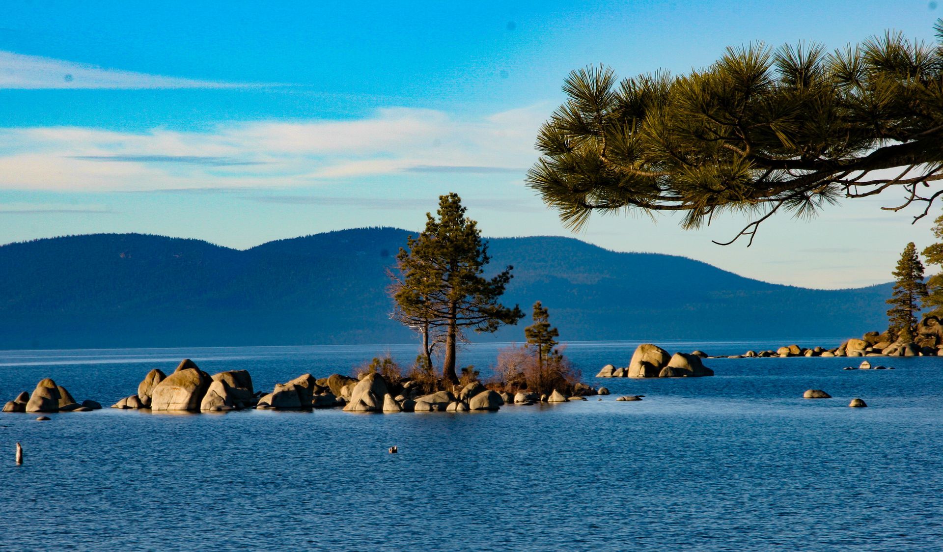 Lake Tahoe scenic view with trees, rocks, and mountains under a blue sky.
