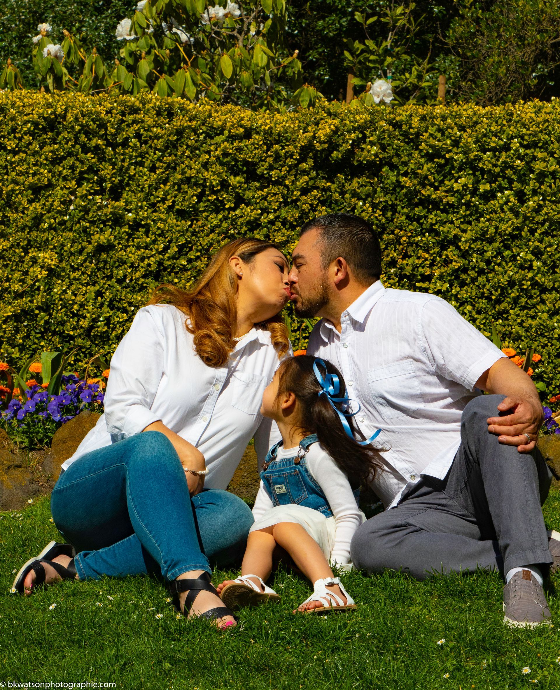 Family of three, parents kissing, child looking up. Sitting on grass in front of hedge, sunny day.