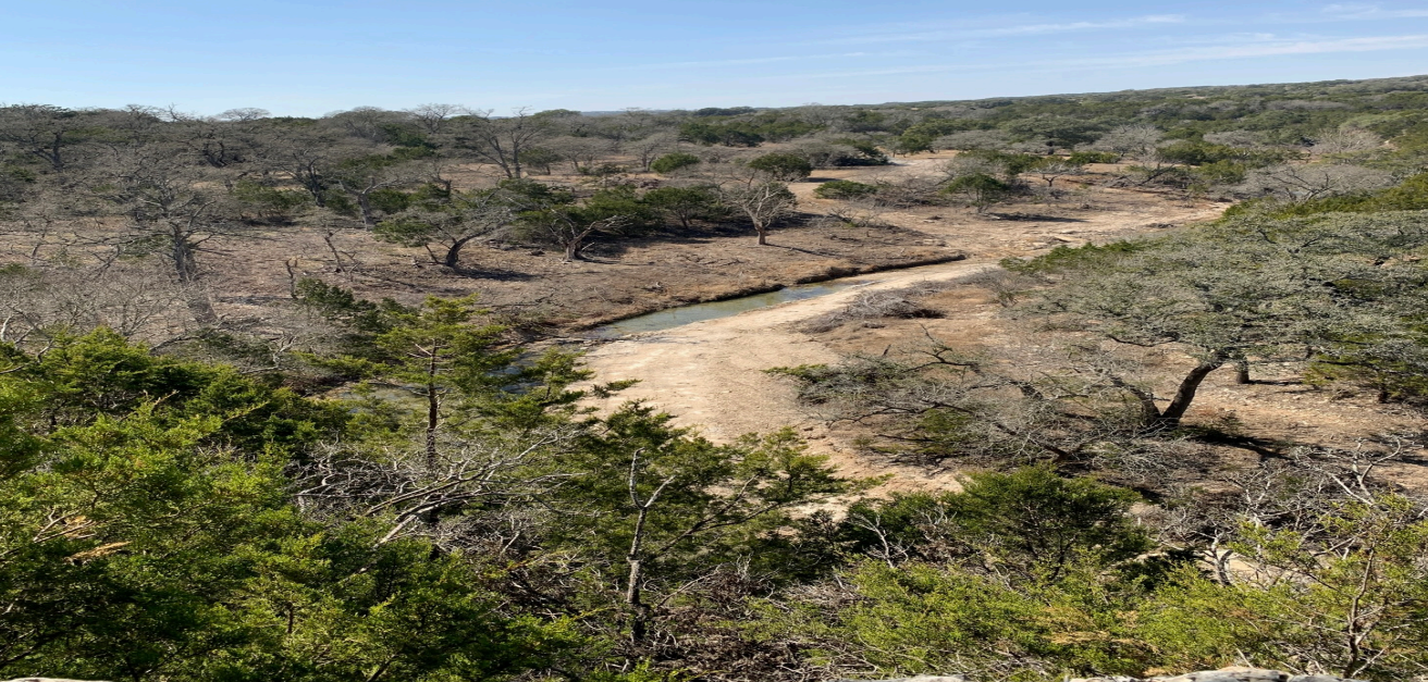 Commercial Real Estate