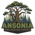 tree service in ansonia connecticut