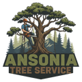 tree-service-ansonia-connecticut