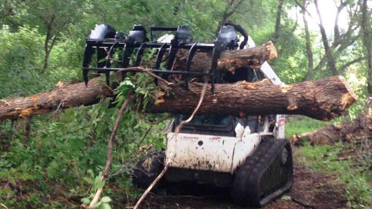 tree-service-ansonia-connecticut