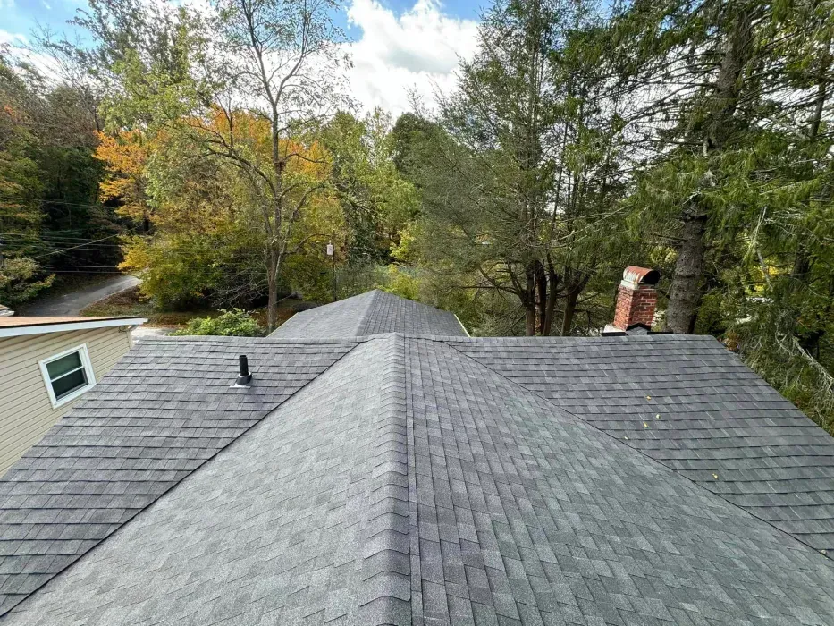 Gray shingled roof with a chimney and surrounding trees under a partly cloudy sky.