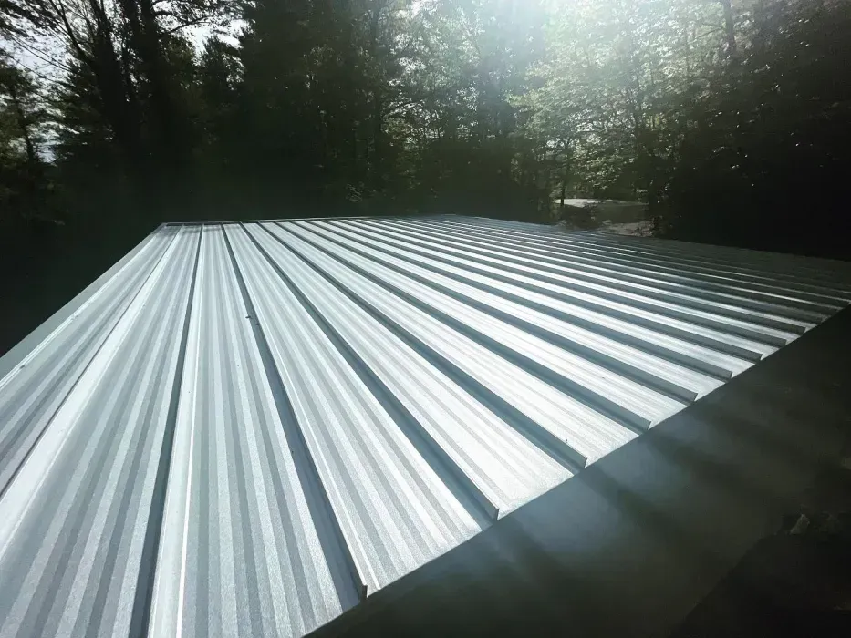 Corrugated metal roof reflecting sunlight, trees in background.