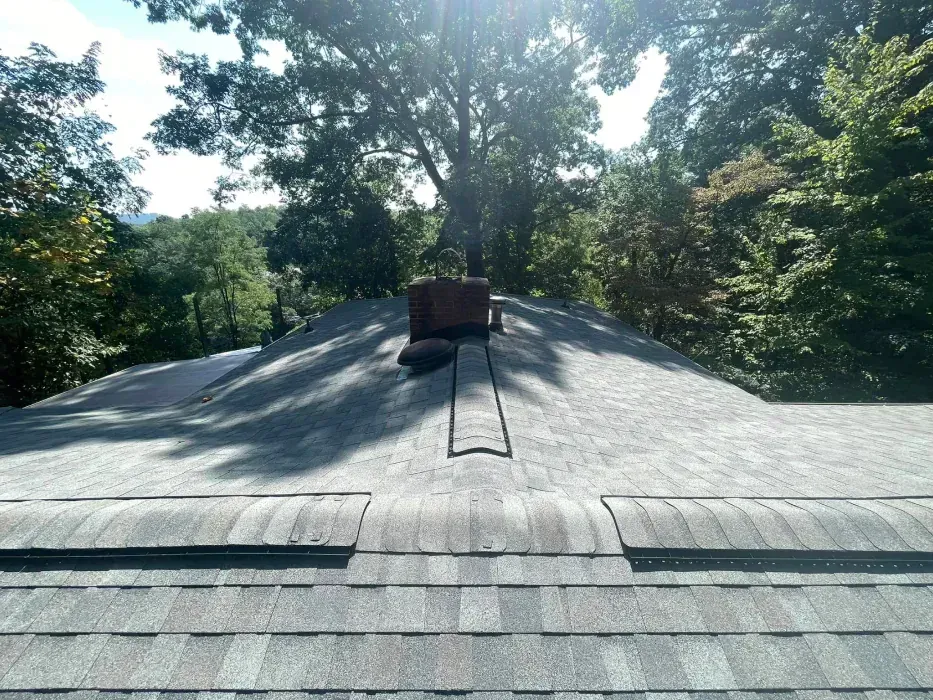 Rooftop view with chimney and vent. Shingled roof, trees in background, sunny day.