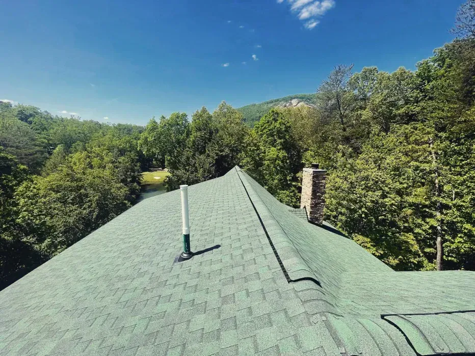 Green shingle roof with a chimney and vent pipe, trees and blue sky background.