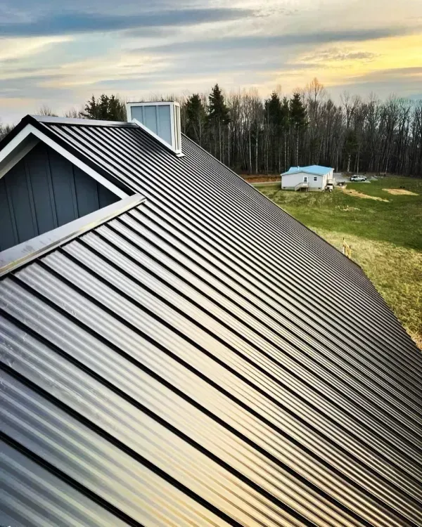 Dark metal roof of a building with a skylight, and a smaller building in the background.