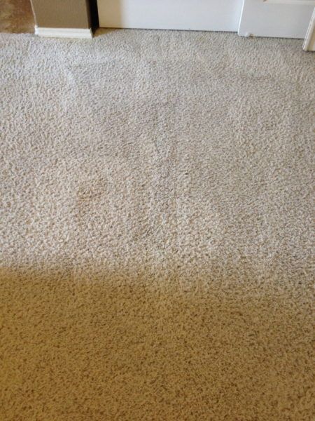 A close up of a carpeted floor in a room.
