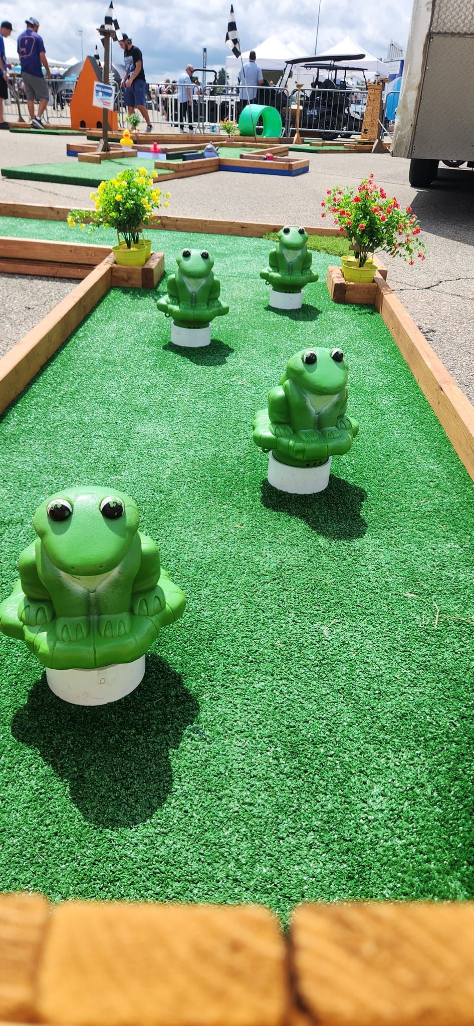 Miniature golf course with green turf and frog obstacles.