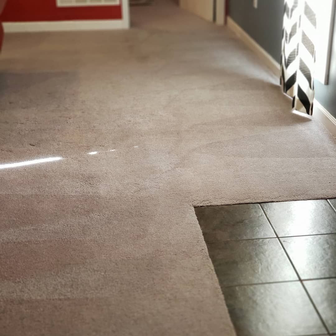 A room with a carpeted floor and a tiled floor.