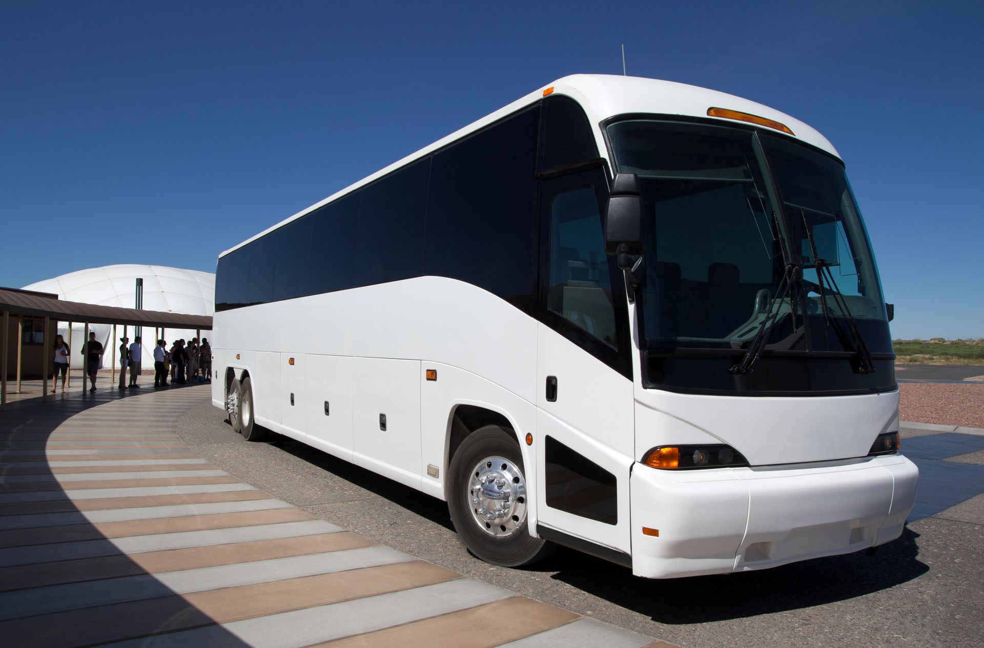 Airport Shuttle in Tampa, FL