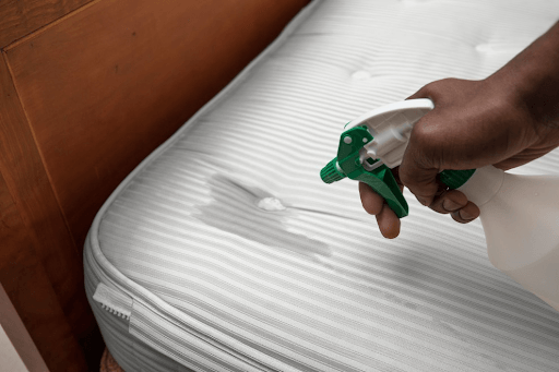 cara basmi kutu kasur spring bed dengan insektisida