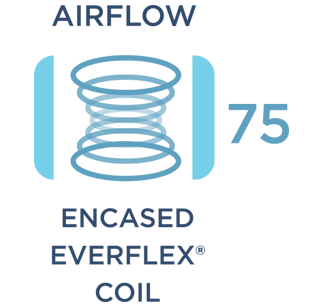 EverFlex® Spring with Encasement & Airflow System
