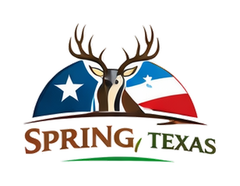 Used engines and transmissions in Spring, TX