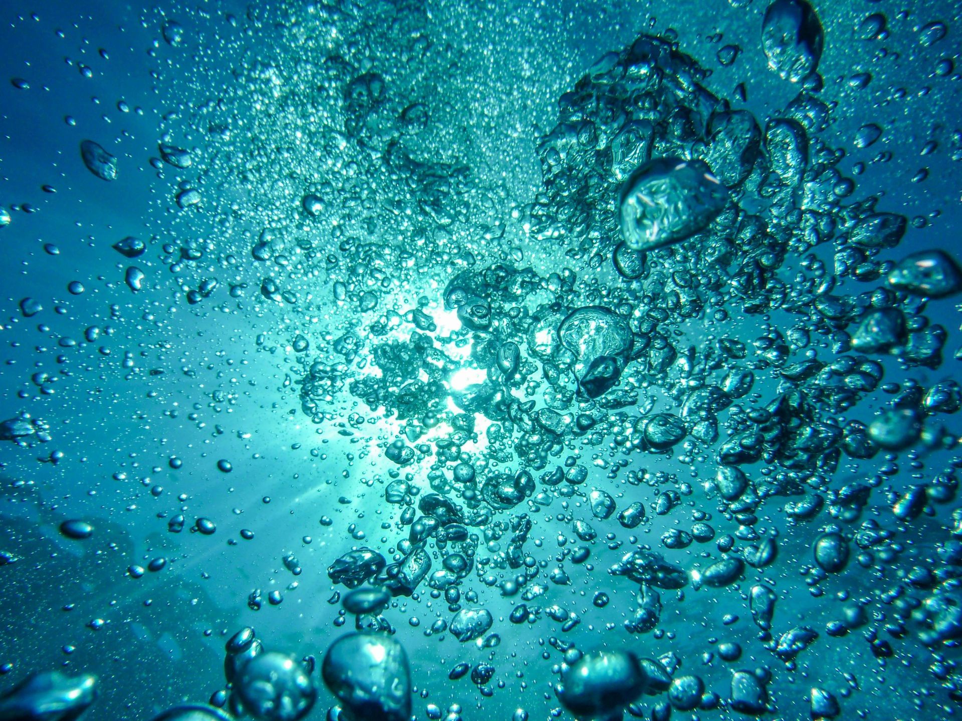 Numerous air bubbles rise through clear, turquoise ocean water toward a bright, sunlit surface.