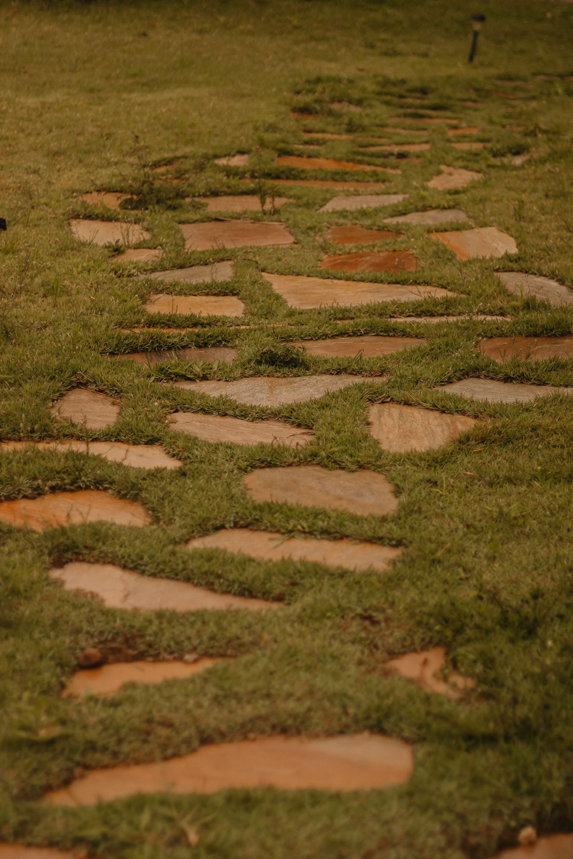 Stone path winding through a grassy field