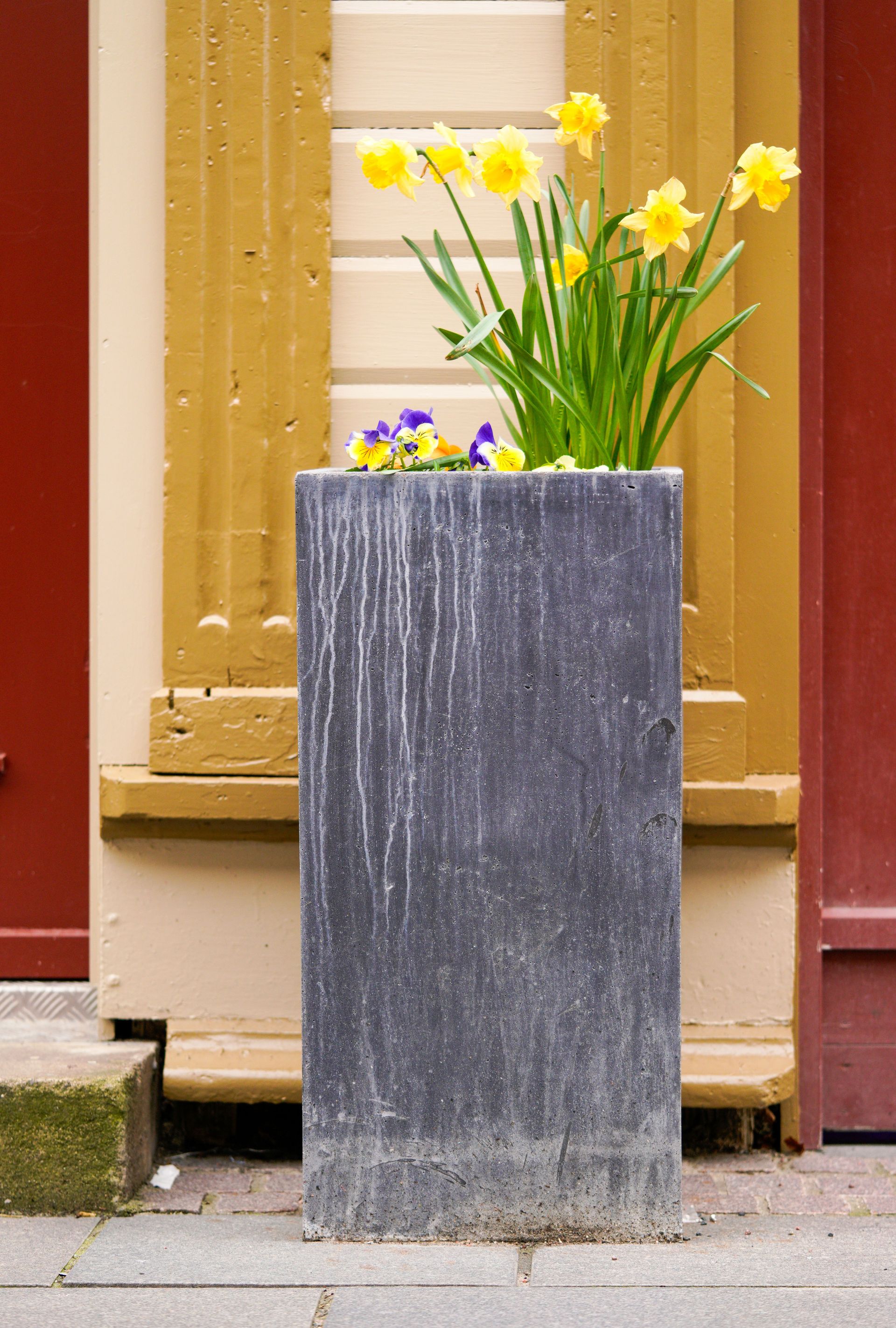 Gray planter with yellow and purple flowers against a red and tan building wall