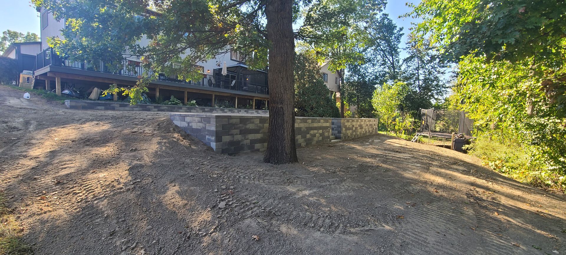 A dirt yard with a tree in the center. In the background are wooden structures, green foliage, and a building.