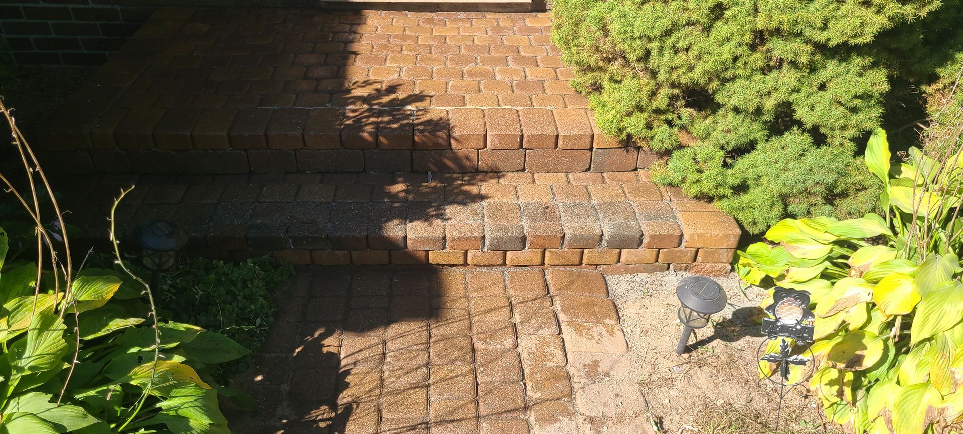 Brick steps leading up, bordered by greenery and a small light fixture.