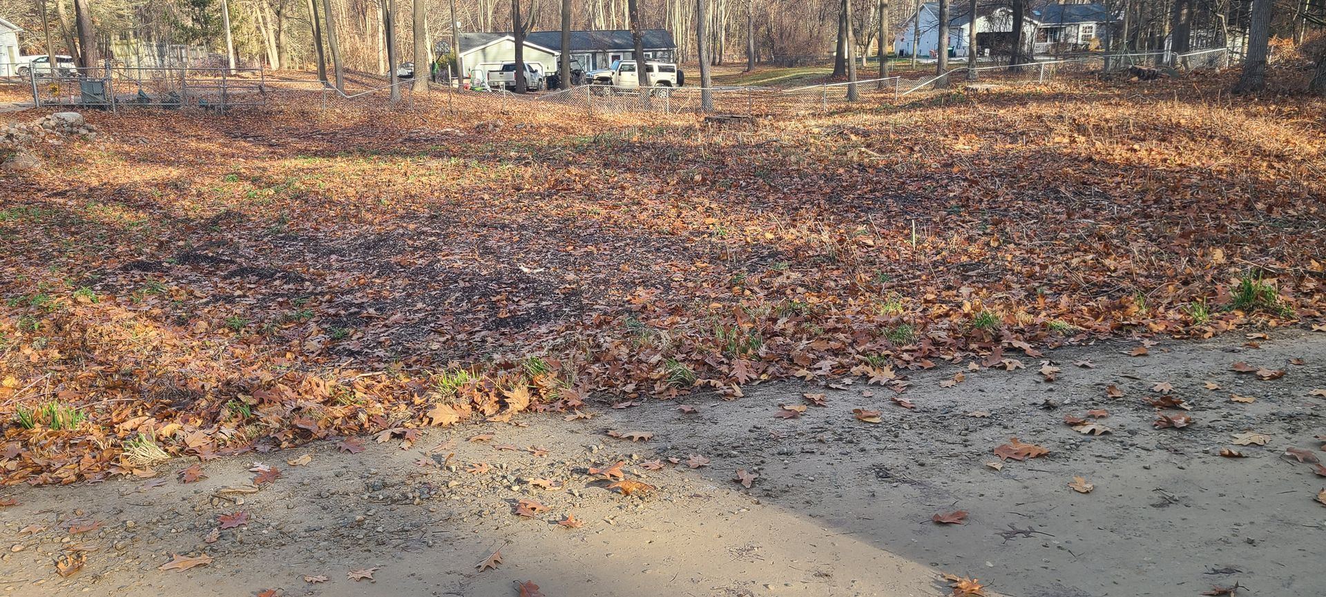 Ground covered in autumn leaves, a few houses in the background.