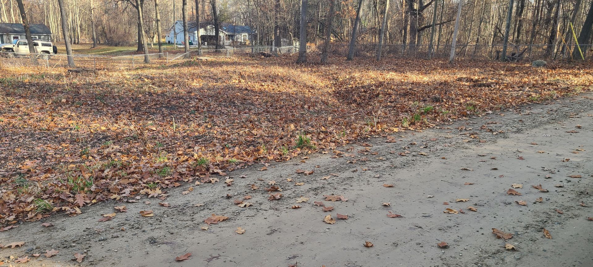 Dirt road next to a field covered with fallen leaves. Trees and houses in the background.