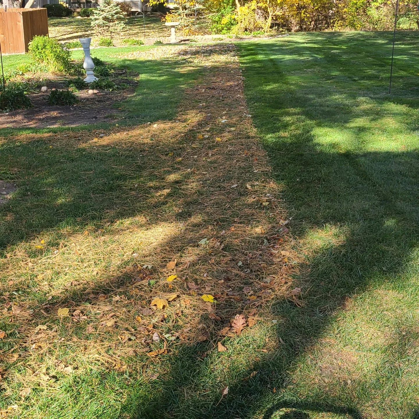 A path in the grass with leaves on the ground